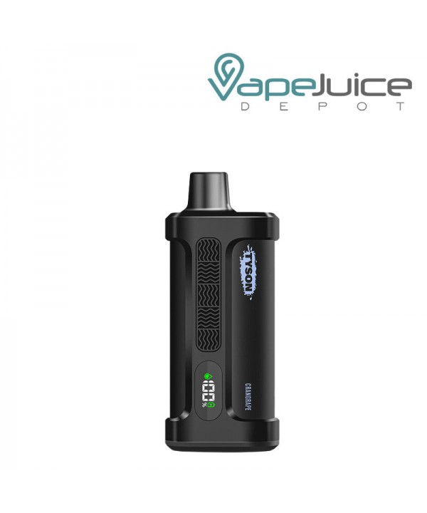 Tyson 2.0 Iron Mike Disposable Vape