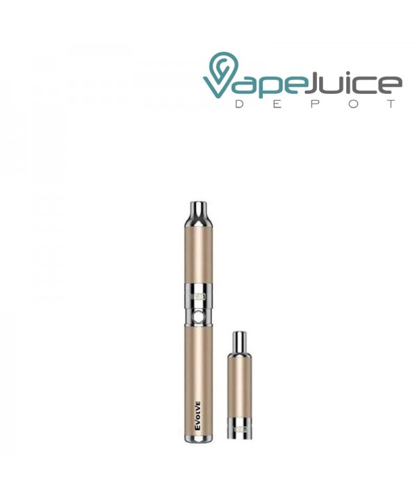 Yocan Evolve Kit 2020 Edition