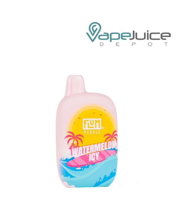 Flum Pebble 6000 Disposable