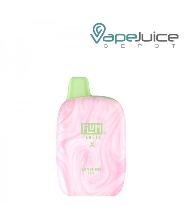 Flum Pebble 6000 Disposable