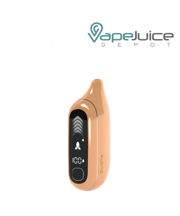 Flonq Max Pro 20K 2% Nicotine Disposable