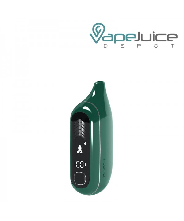 Flonq Max Pro 20K 2% Nicotine Disposable